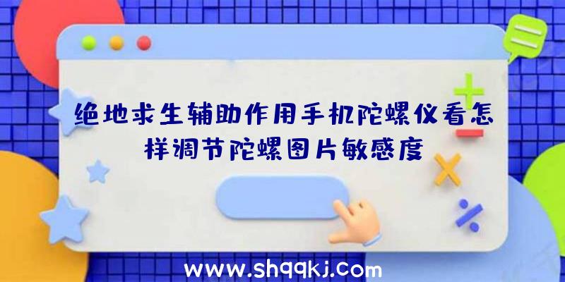 绝地求生辅助作用手机陀螺仪看怎样调节陀螺图片敏感度