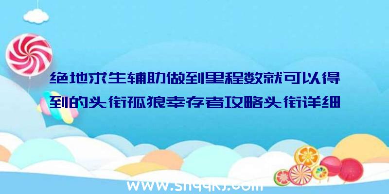 绝地求生辅助做到里程数就可以得到的头衔孤狼幸存者攻略头衔详细介绍