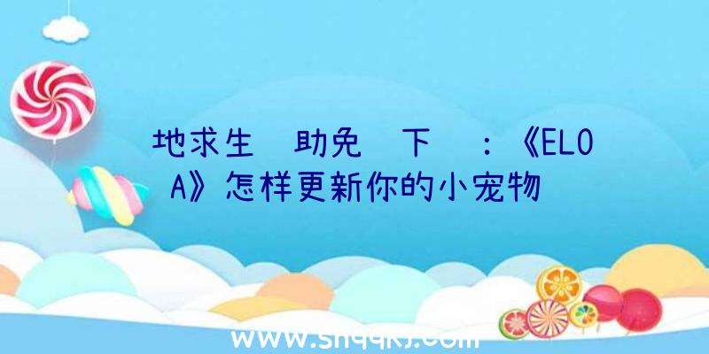 绝地求生辅助免费下载：《ELOA》怎样更新你的小宠物