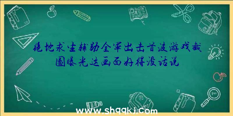 绝地求生辅助全军出击首波游戏截图曝光这画面好得没话说