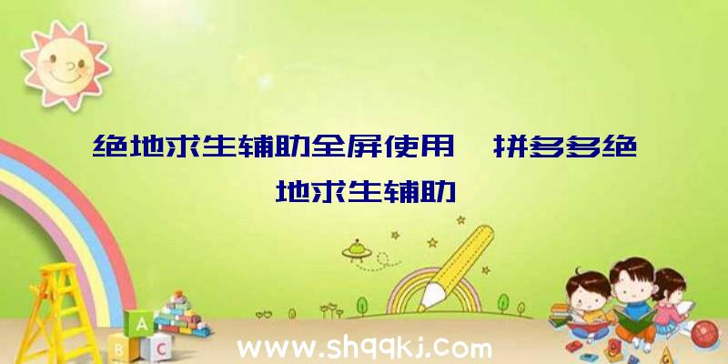 绝地求生辅助全屏使用、拼多多绝地求生辅助