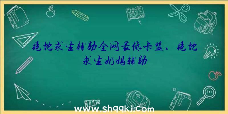 绝地求生辅助全网最低卡盟、绝地求生奶妈辅助