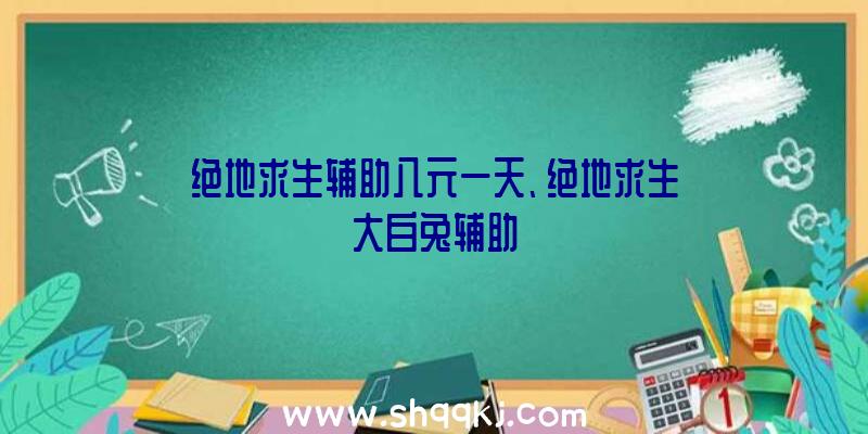 绝地求生辅助八元一天、绝地求生大白兔辅助