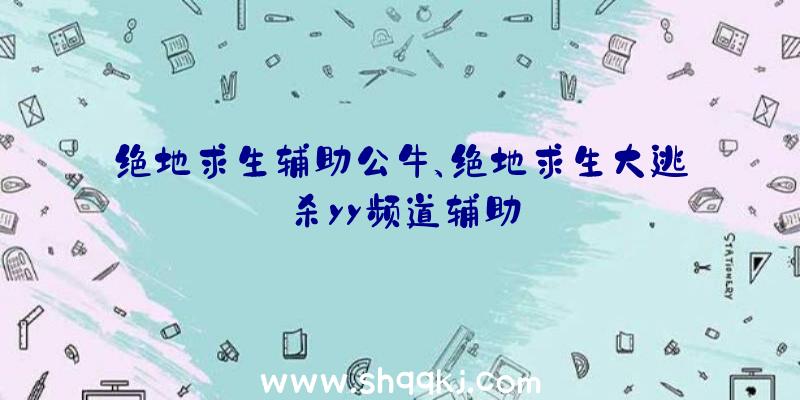 绝地求生辅助公牛、绝地求生大逃杀yy频道辅助