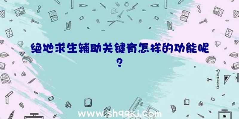 绝地求生辅助关键有怎样的功能呢？