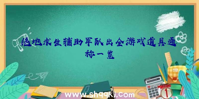 绝地求生辅助军队出全游戏道具通称一览