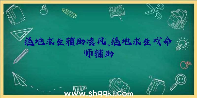 绝地求生辅助凌风、绝地求生戏命师辅助