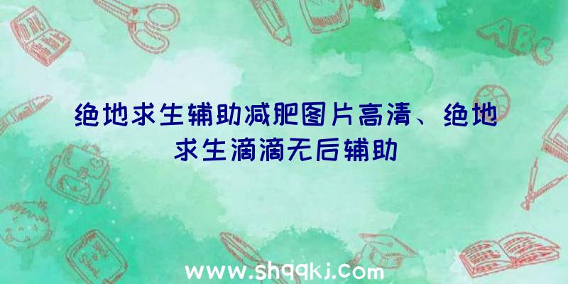 绝地求生辅助减肥图片高清、绝地求生滴滴无后辅助