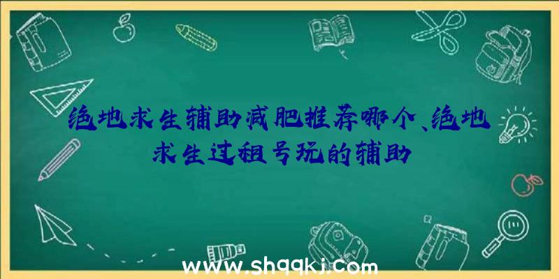 绝地求生辅助减肥推荐哪个、绝地求生过租号玩的辅助