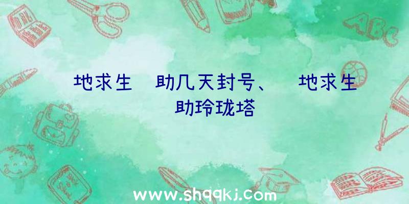 绝地求生辅助几天封号、绝地求生辅助玲珑塔