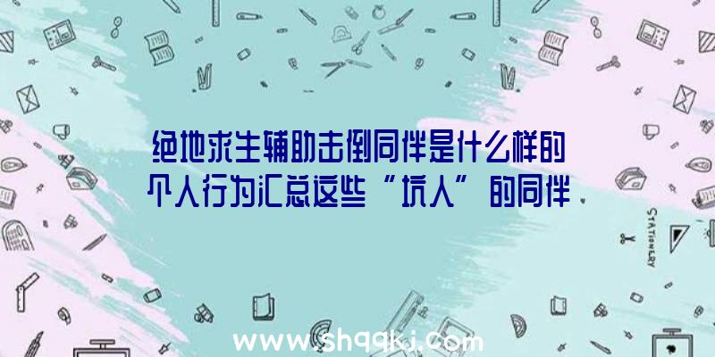 绝地求生辅助击倒同伴是什么样的个人行为汇总这些“坑人”的同伴