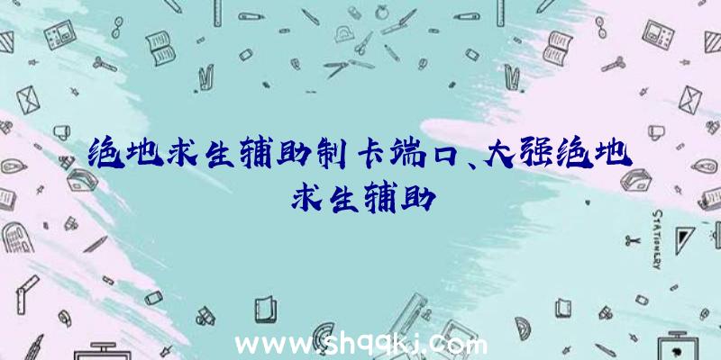 绝地求生辅助制卡端口、大强绝地求生辅助