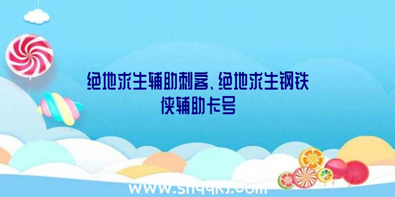 绝地求生辅助刺客、绝地求生钢铁侠辅助卡号