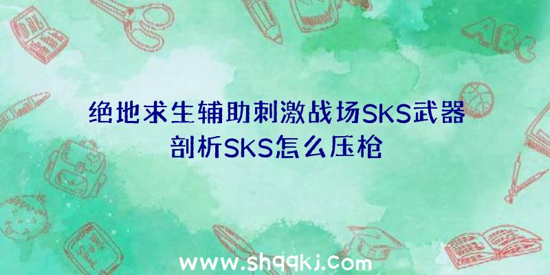 绝地求生辅助刺激战场SKS武器剖析SKS怎么压枪