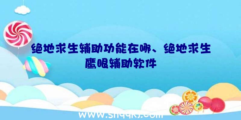 绝地求生辅助功能在哪、绝地求生鹰眼辅助软件