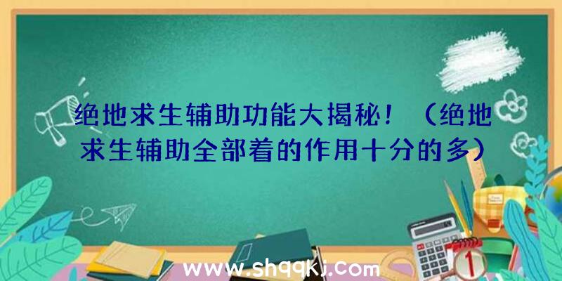 绝地求生辅助功能大揭秘！（绝地求生辅助全部着的作用十分的多）