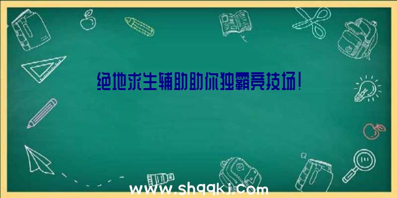 绝地求生辅助助你独霸竞技场！