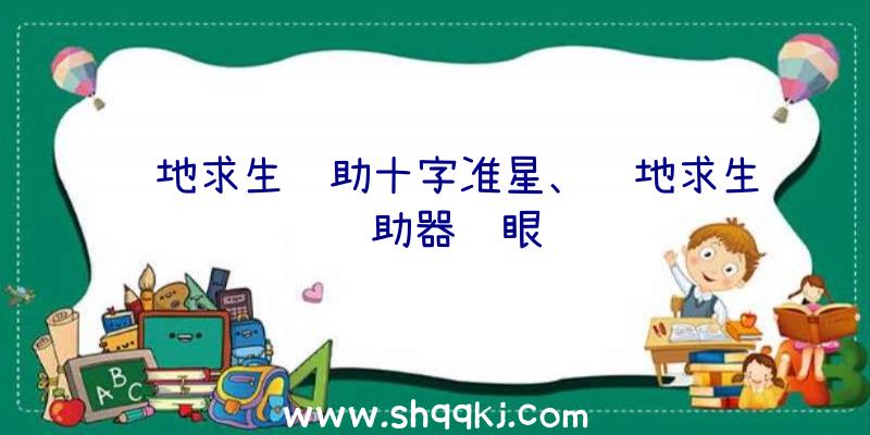 绝地求生辅助十字准星、绝地求生辅助器鹰眼