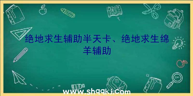 绝地求生辅助半天卡、绝地求生绵羊辅助