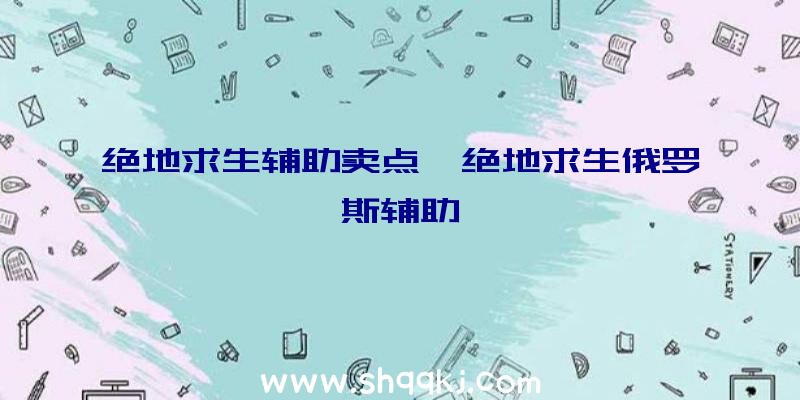 绝地求生辅助卖点、绝地求生俄罗斯辅助