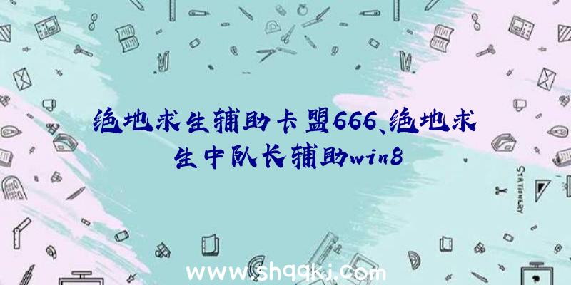 绝地求生辅助卡盟666、绝地求生中队长辅助win8