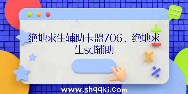 绝地求生辅助卡盟706、绝地求生sd辅助