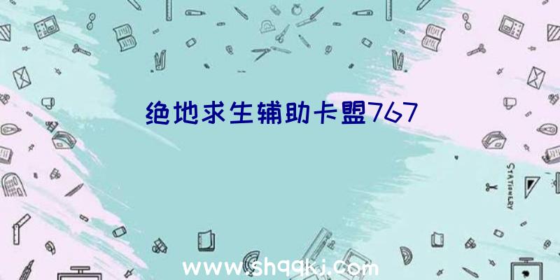 绝地求生辅助卡盟767