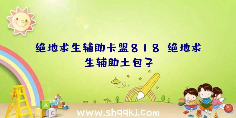 绝地求生辅助卡盟818、绝地求生辅助土包子