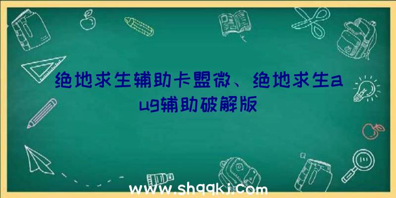 绝地求生辅助卡盟微、绝地求生aug辅助破解版