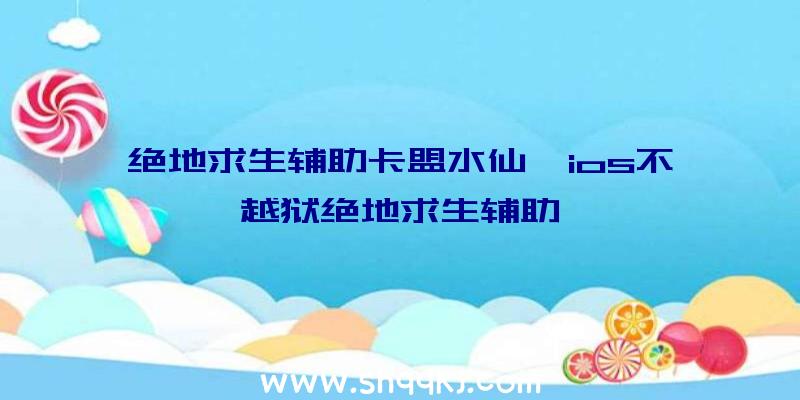 绝地求生辅助卡盟水仙、ios不越狱绝地求生辅助