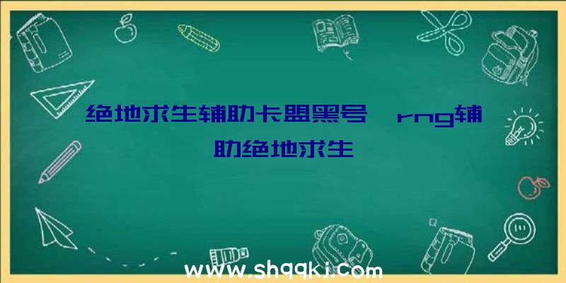 绝地求生辅助卡盟黑号、rng辅助绝地求生