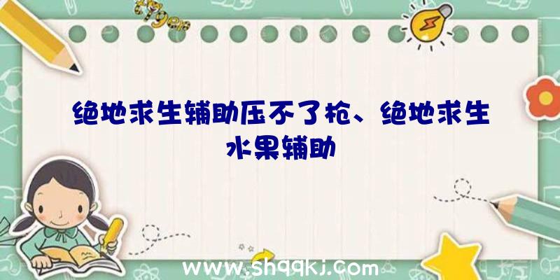 绝地求生辅助压不了枪、绝地求生水果辅助