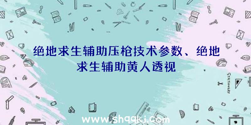 绝地求生辅助压枪技术参数、绝地求生辅助黄人透视