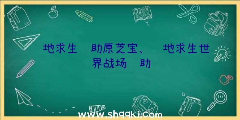 绝地求生辅助原芝宝、绝地求生世界战场辅助