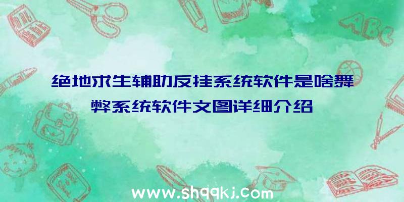 绝地求生辅助反挂系统软件是啥舞弊系统软件文图详细介绍