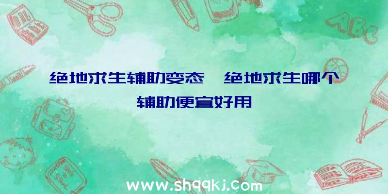 绝地求生辅助变态、绝地求生哪个辅助便宜好用