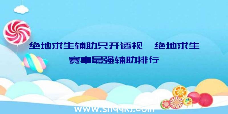 绝地求生辅助只开透视、绝地求生赛事最强辅助排行