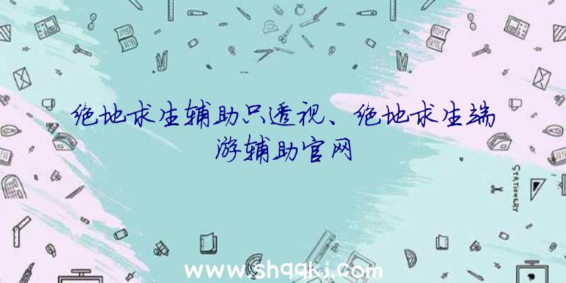 绝地求生辅助只透视、绝地求生端游辅助官网