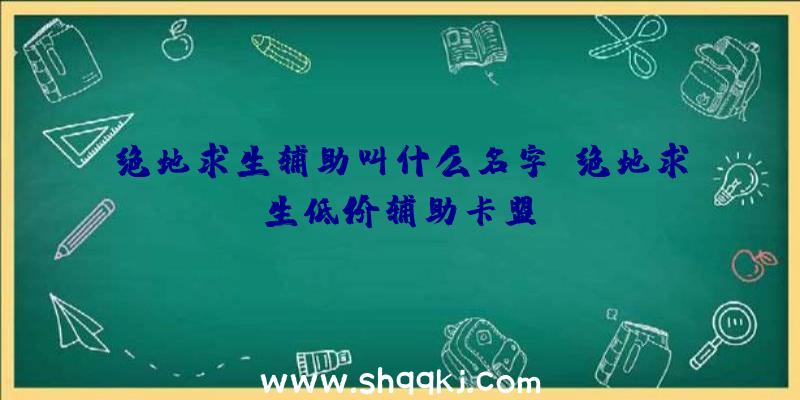 绝地求生辅助叫什么名字、绝地求生低价辅助卡盟.