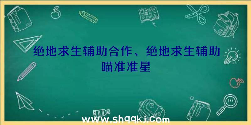 绝地求生辅助合作、绝地求生辅助瞄准准星