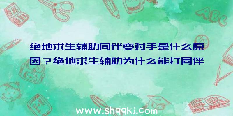 绝地求生辅助同伴变对手是什么原因？绝地求生辅助为什么能打同伴？