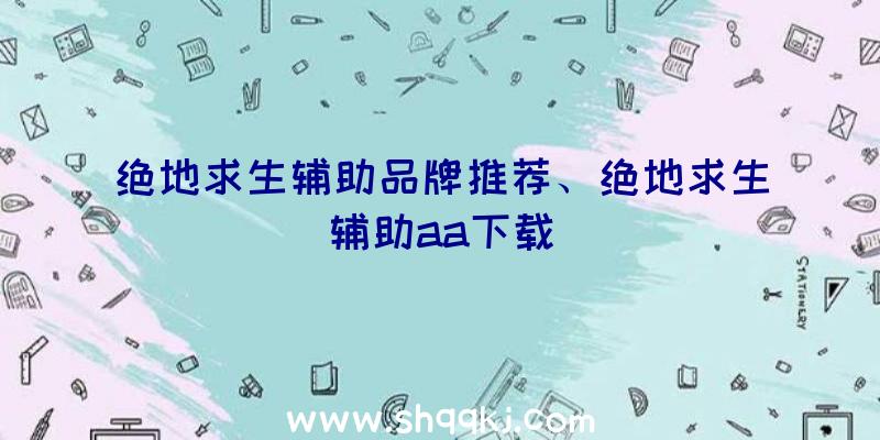 绝地求生辅助品牌推荐、绝地求生辅助aa下载