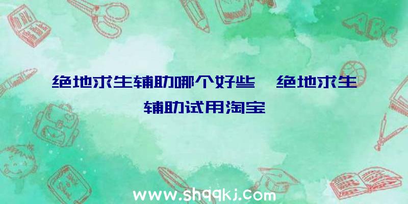 绝地求生辅助哪个好些、绝地求生辅助试用淘宝