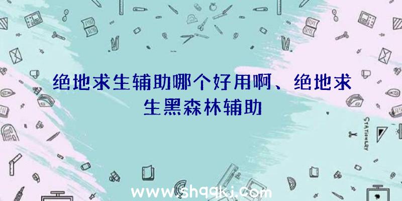 绝地求生辅助哪个好用啊、绝地求生黑森林辅助