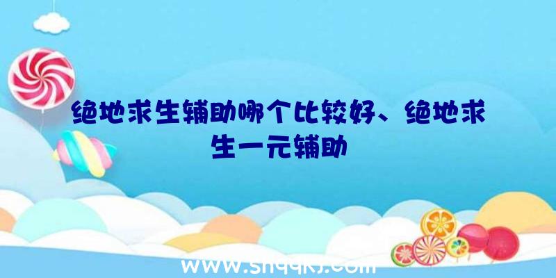 绝地求生辅助哪个比较好、绝地求生一元辅助