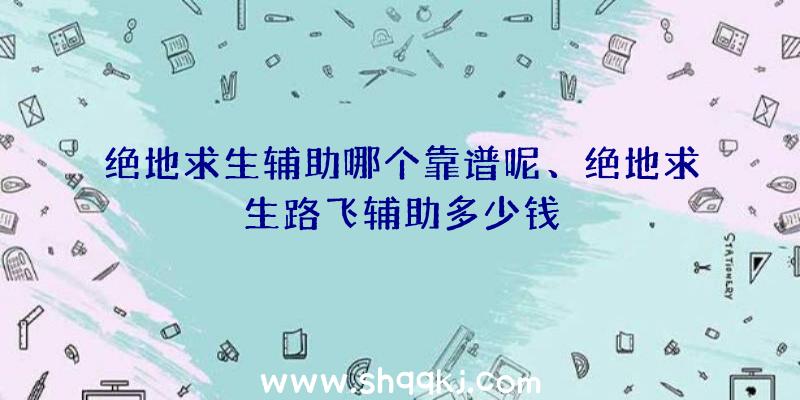 绝地求生辅助哪个靠谱呢、绝地求生路飞辅助多少钱