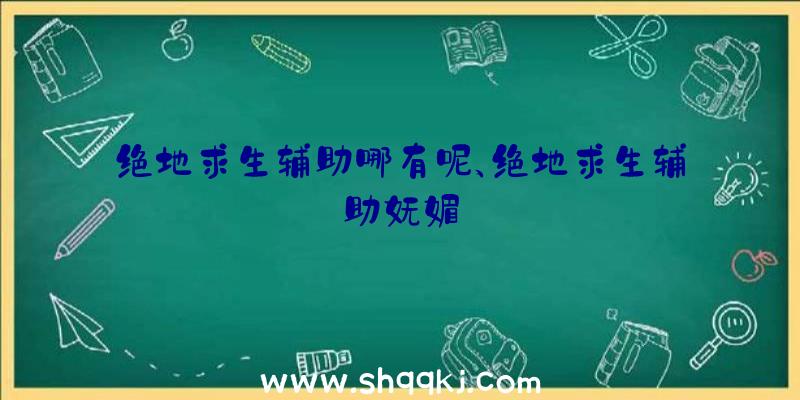 绝地求生辅助哪有呢、绝地求生辅助妩媚