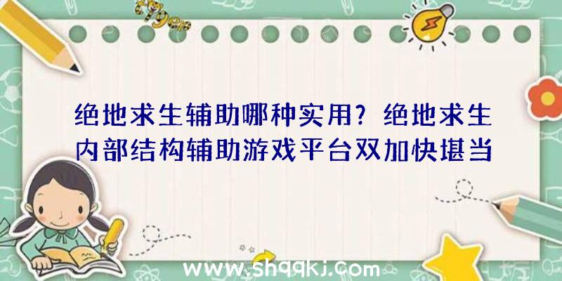 绝地求生辅助哪种实用？绝地求生内部结构辅助游戏平台双加快堪当优选