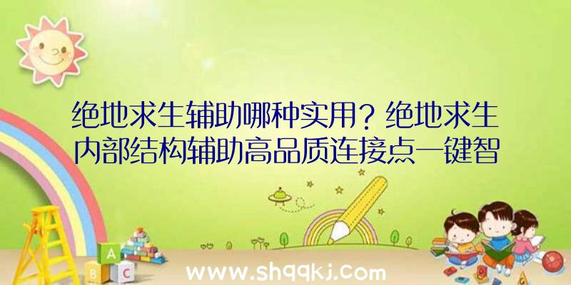 绝地求生辅助哪种实用？绝地求生内部结构辅助高品质连接点一键智能化顺畅