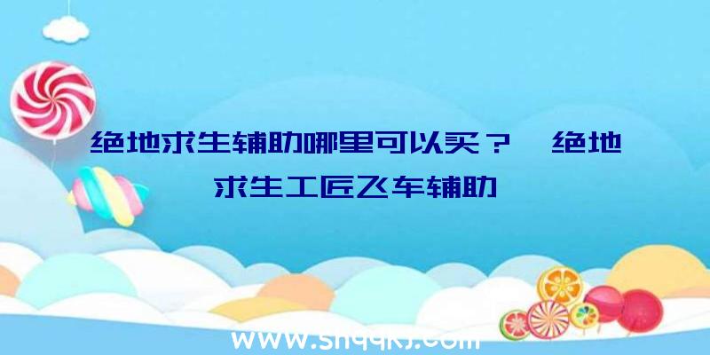 绝地求生辅助哪里可以买？、绝地求生工匠飞车辅助